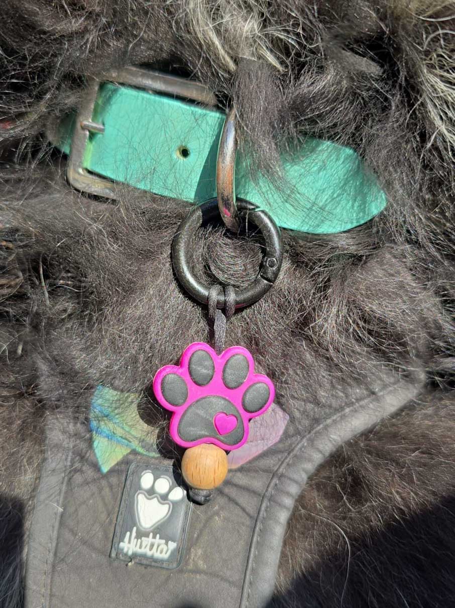 Pet collar decoration. For dogs and cats or any pet that wears a collar or has really cute paws and claws! Cute paw print clip on for collar.