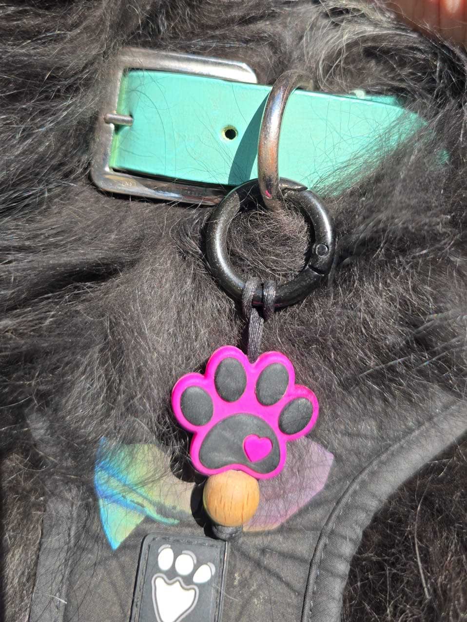 Pet collar decoration. For dogs and cats or any pet that wears a collar or has really cute paws and claws! Cute paw print clip on for collar.